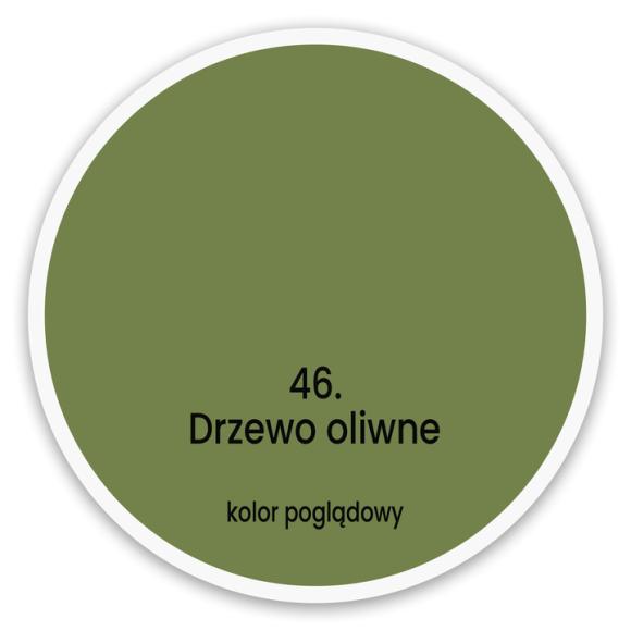 Drzewo Oliwne
