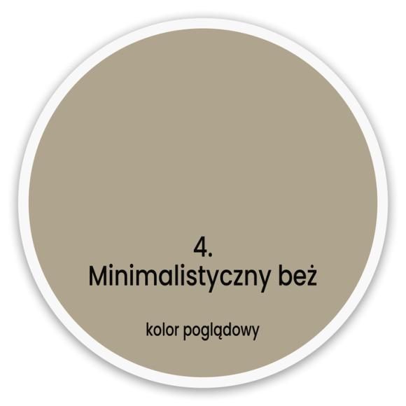 Minimalistyczny Beż