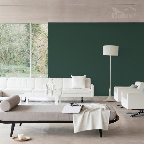 Farba Dulux EasyCare Plamoodporna Zieleń Boho 2,5L - Inspiracja_01