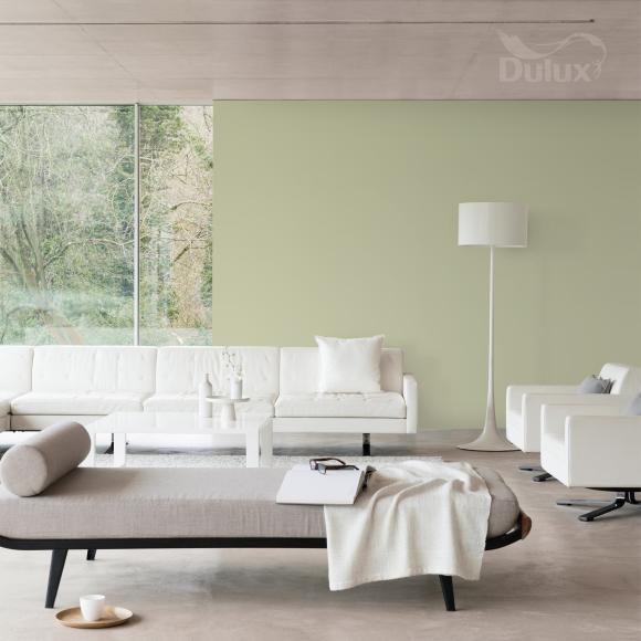 Farba Dulux EasyCare Plamoodporna Trwale Zielony 2,5L - Inspiracja_01