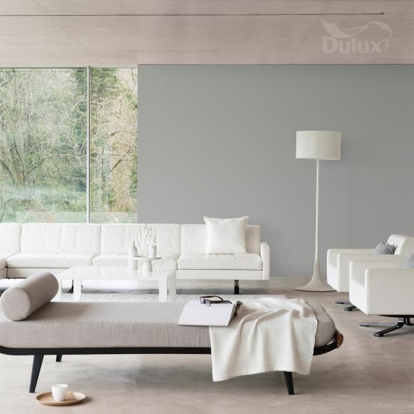 Farba Dulux EasyCare Plamoodporna Stylowa Szarość 2,5L - Inspiracja_01