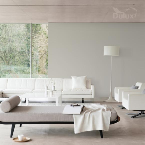 Farba Dulux EasyCare Plamoodporna Solidny Szary Beż 2,5L - Inspiracja_01