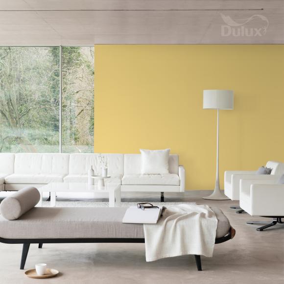 Farba Dulux EasyCare Plamoodporna Słoneczny Patrol 2,5L - Inspiracja