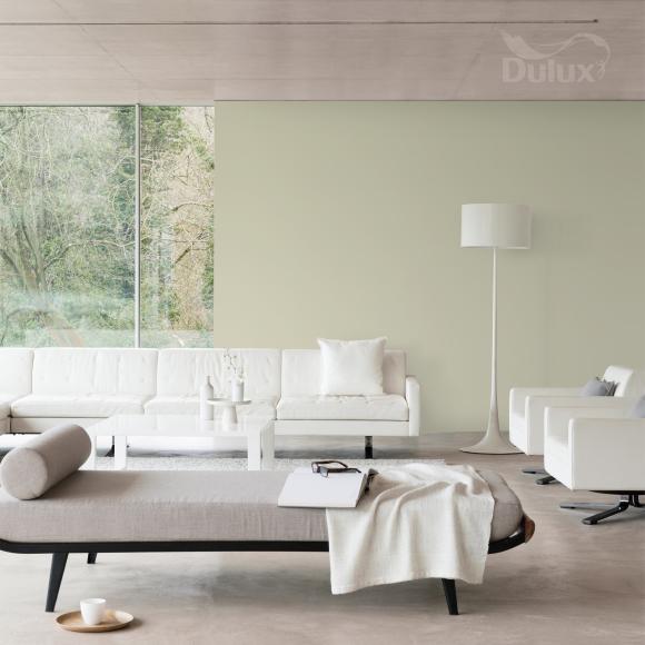Farba Dulux EasyCare Plamoodporna Niezłe Ziółko 2,5L - Inspiracja_01