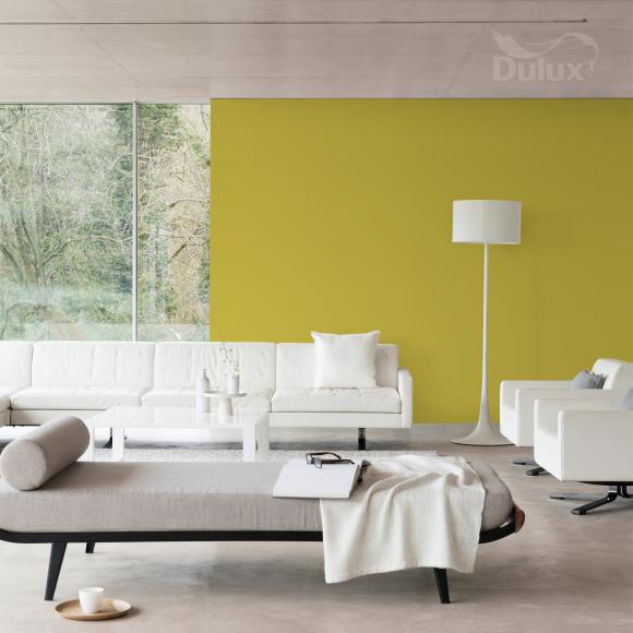 Farba Dulux EasyCare Plamoodporna Niedościgniona Limonka 2,5L - Inspiracja_01