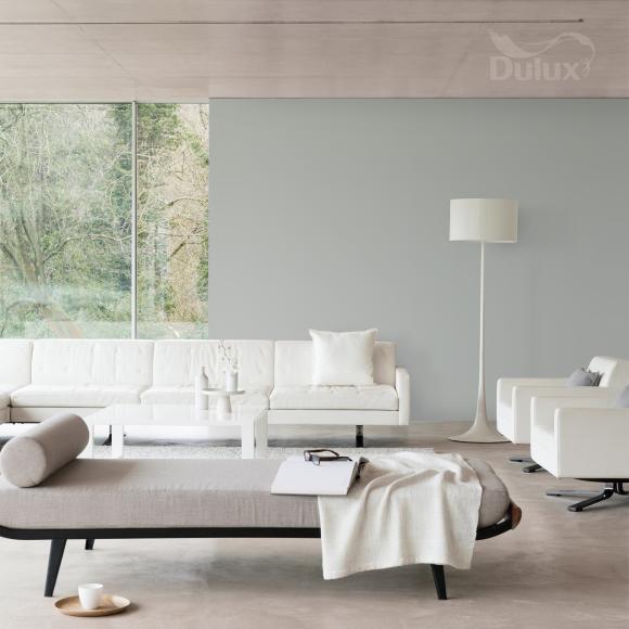 Farba Dulux EasyCare Plamoodporna Najpopularniejszy Szary 2,5L - Inspiracja_01