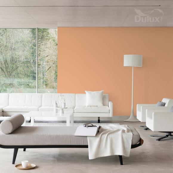 Farba Dulux EasyCare Plamoodporna Morelowy Na Okrągło 2,5L - Inspiracja_01
