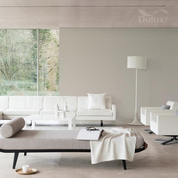 Farba Dulux EASYCARE PLAMOODPORNA Mistrzowskie Płótno 2,5L - Inspiracja_01