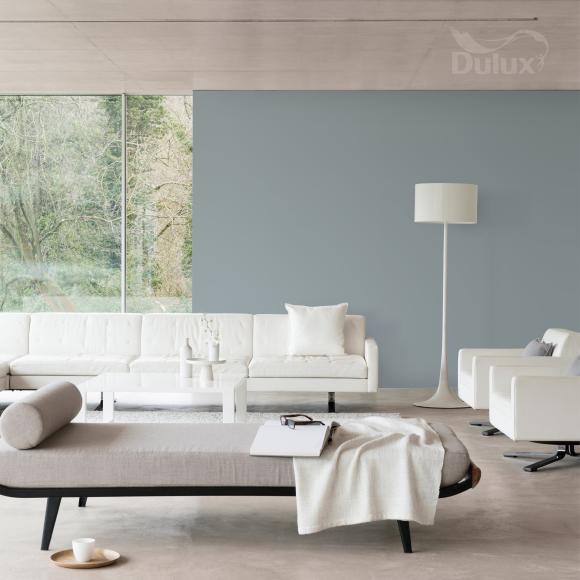 Farba Dulux EASYCARE PLAMOODPORNA Mgła Absolutna 2,5L - Inspiracja_01