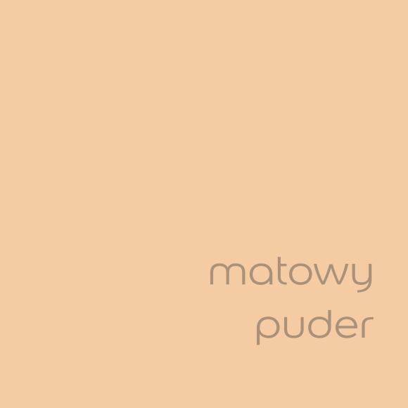 Farba Dulux EasyCare Plamoodporna Matowy Puder 2,5L - Kolor