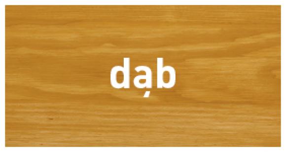 Altax Olej Do Tarasu DĄB 2,5L (2)