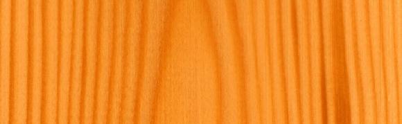 V04 Orzech Włoski (2)