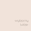 Wyborny Lukier 2,5L