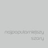 Najpopularniejszy Szary 2,5L