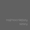Najmocniejszy Szary 2,5L
