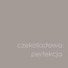 Czekoladowa Perfekcja 2,5L