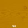 Pinia_9L