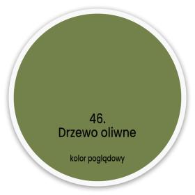 Drzewo Oliwne