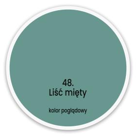 Liść Mięty