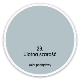 Ulotna Szarość