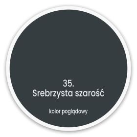 Srebrzysta Szarość